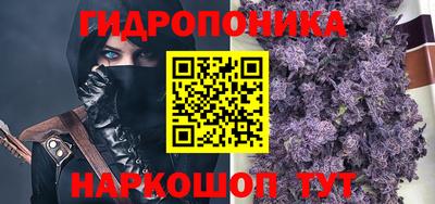 Альфа ПВП Гусиноозёрск