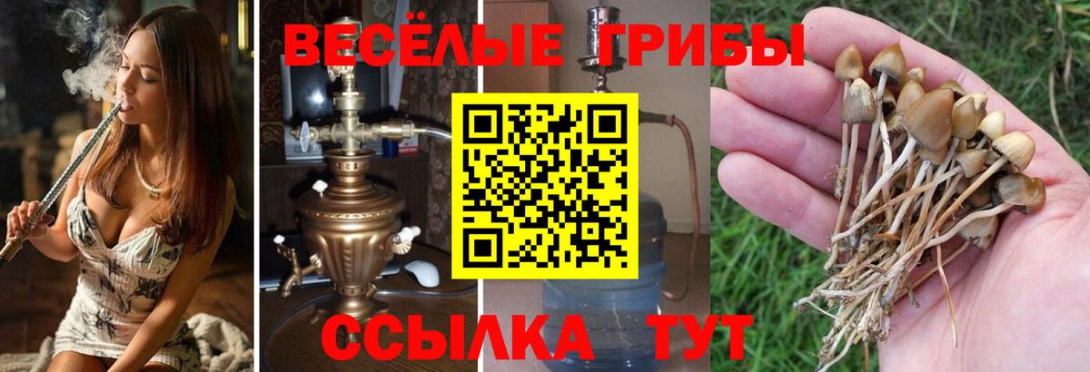 Губкин  Галлюциногенные грибы ЛСД  Галлюциногенные грибы мухоморы  где найти наркотики  Вход с VPN 